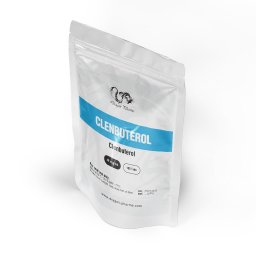 Clenbuterol 40 mcg by Dragon Pharma, Europe Clenbuterol 40 mcg by Dragon Pharma, Europe