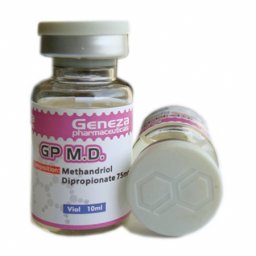 GP M.D.