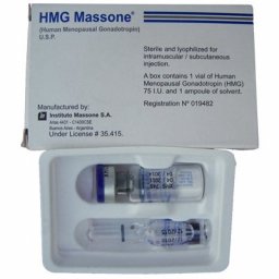 HMG Massone