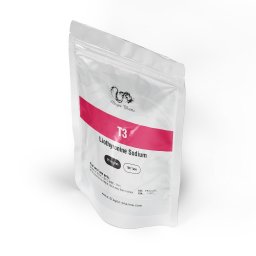 T3 25 mcg by Dragon Pharma, Europe T3 25 mcg by Dragon Pharma, Europe