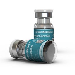 Testoxyl Enanthate 250 by Kalpa Pharmaceuticals LTD, India