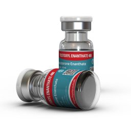 Testoxyl Enanthate 400 mg by Kalpa Pharmaceuticals LTD, India Testoxyl Enanthate 400 mg by Kalpa Pharmaceuticals LTD, India